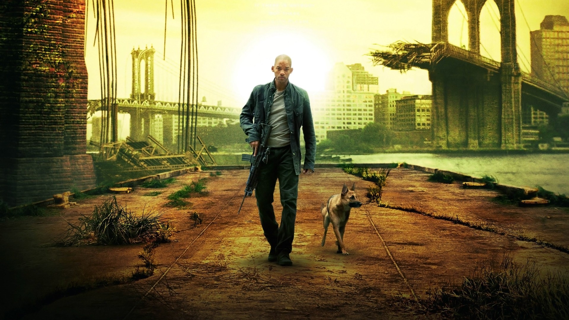 Ben Efsaneyim / I Am Legend